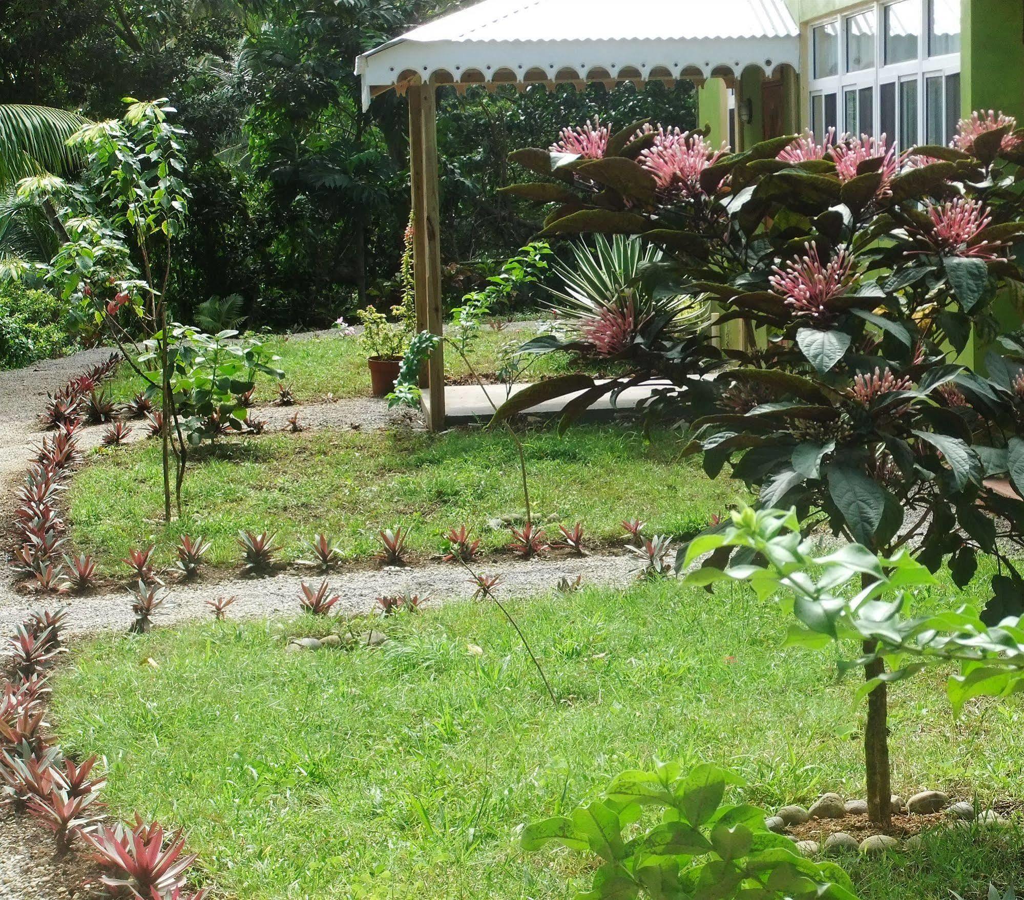 Serenity Lodges Dominica Marigot Exterior photo